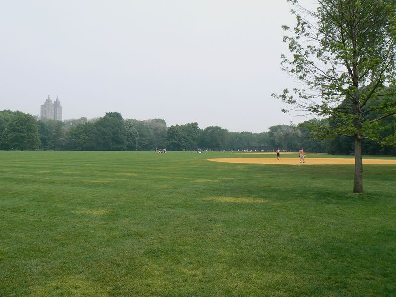 Central Park et autour: Great Lawn